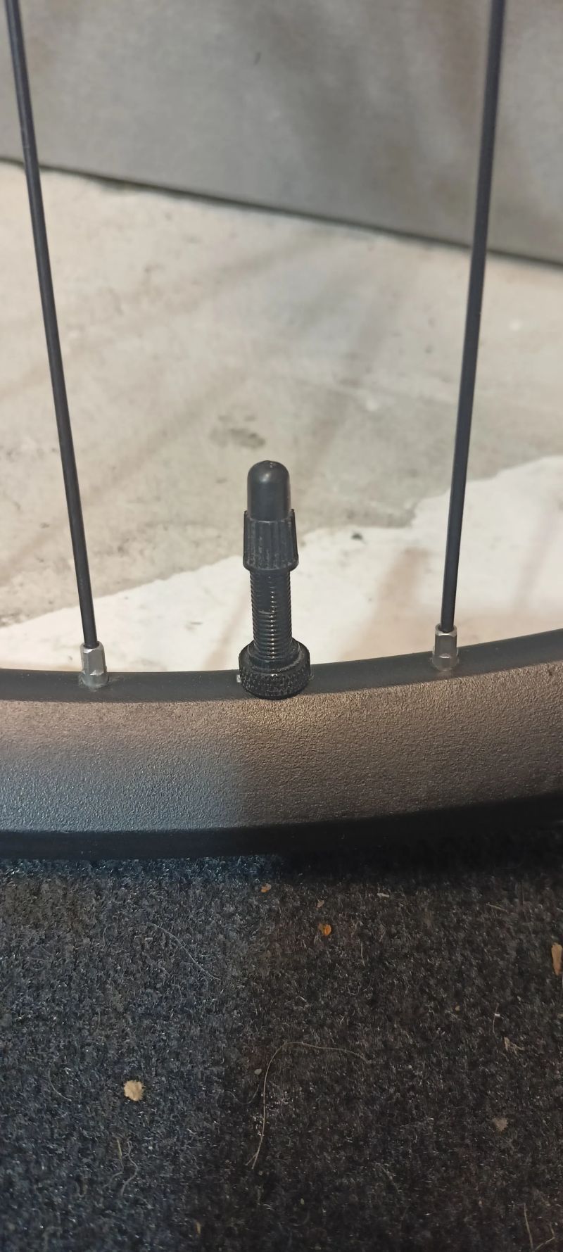 DT Swiss + industry 9 + galfer