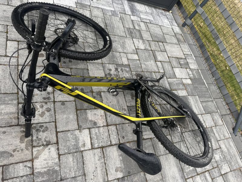 Ghost Lector Universal