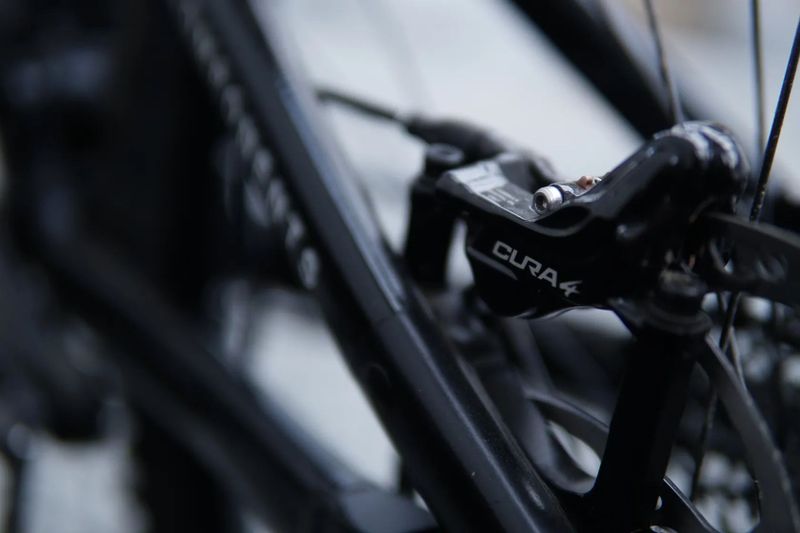 Raaw Madonna - vel.M