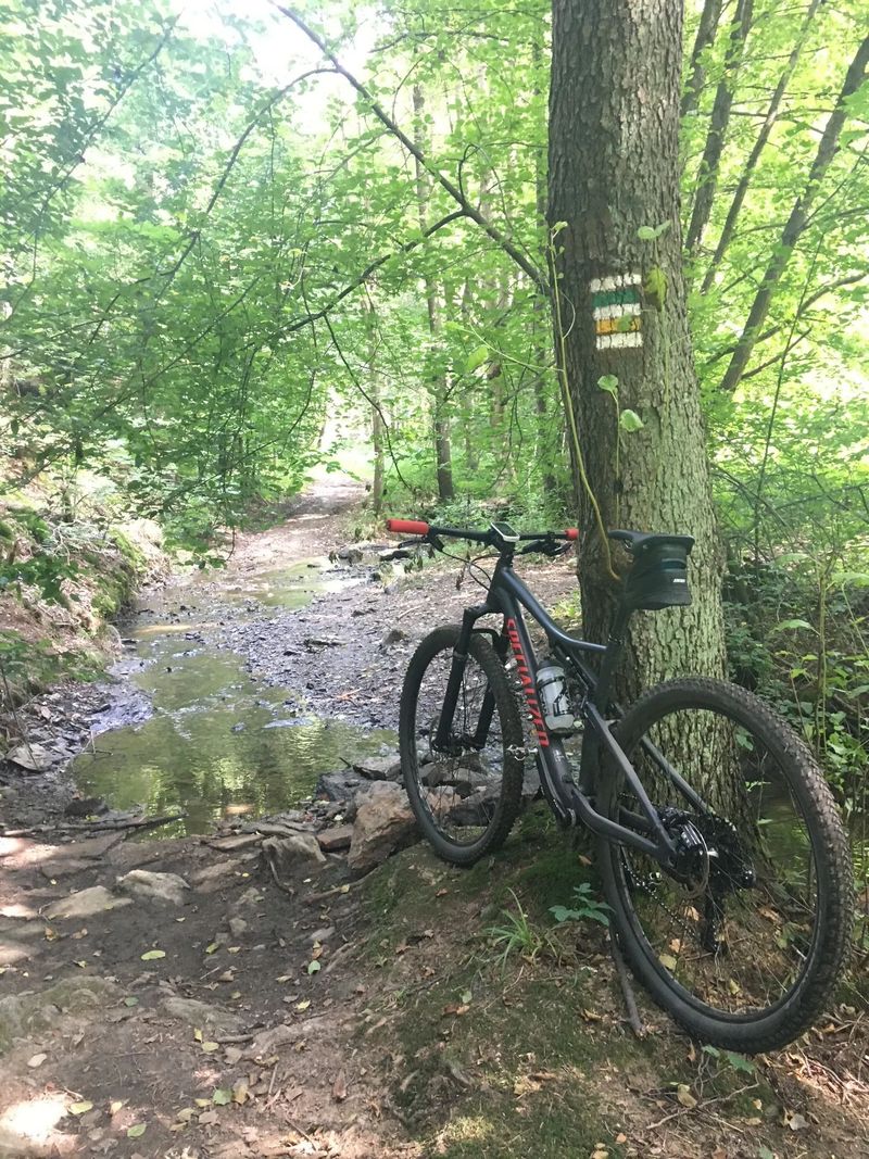 Specialized Epic Comp "L"