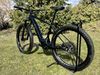 Specialized Turbo Levo Hardtail Comp CE Fattie - L