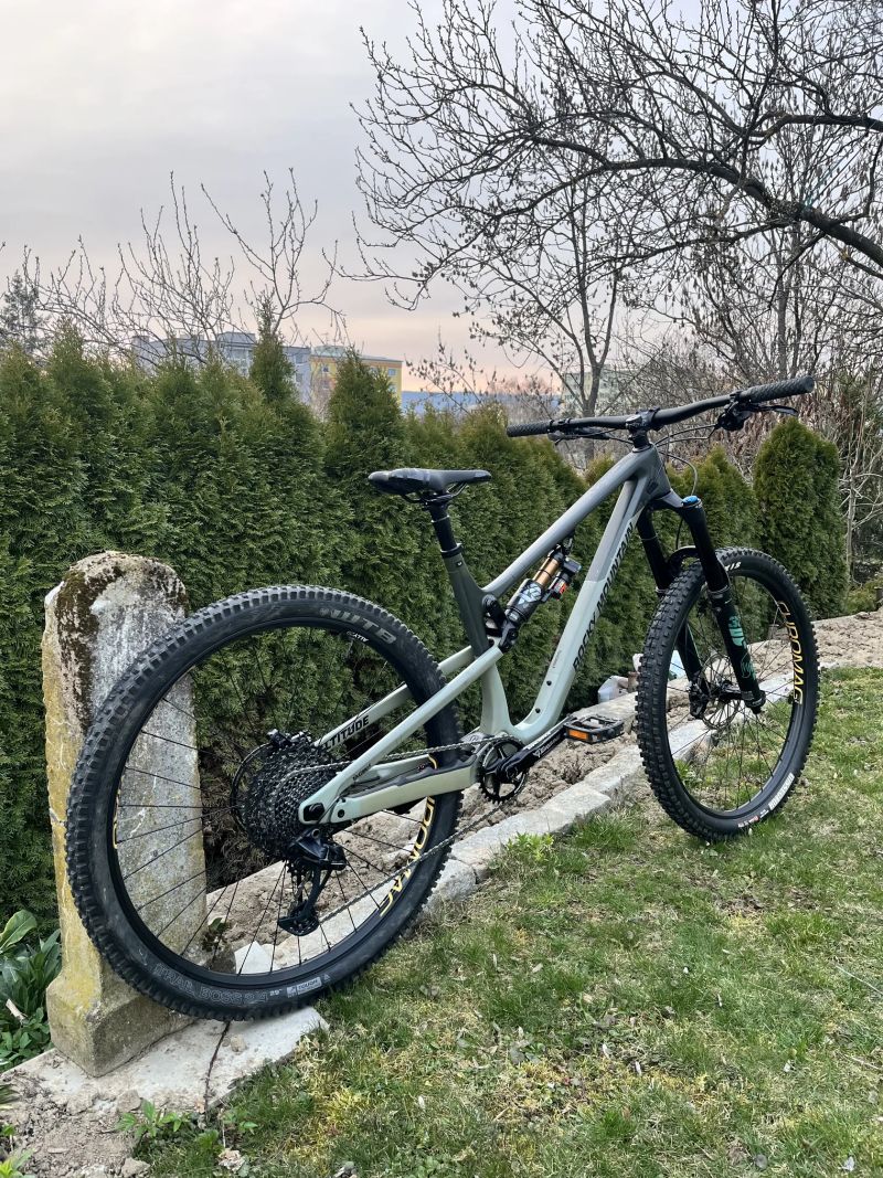 Rocky Mountain Altitude 29 carbon L