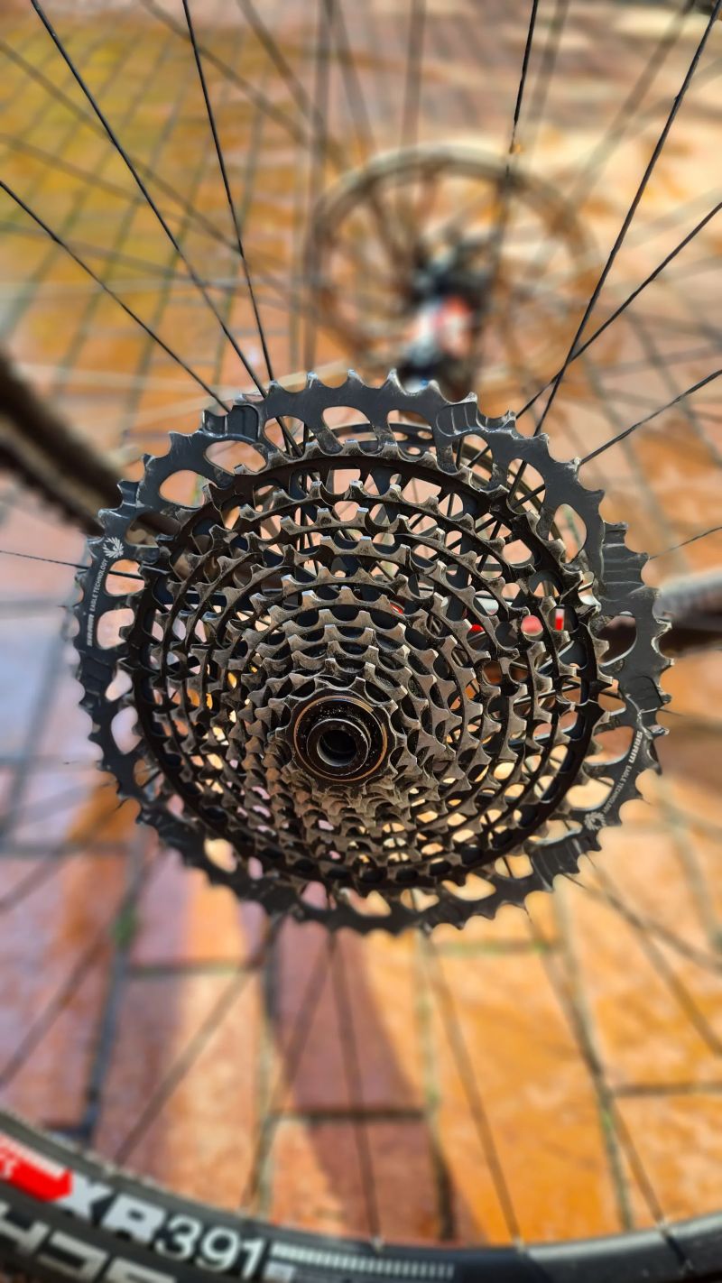 LRS, DT Swiss 240 (110/142), Predictive Steering