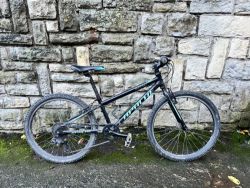 Apache Buffalo 24”