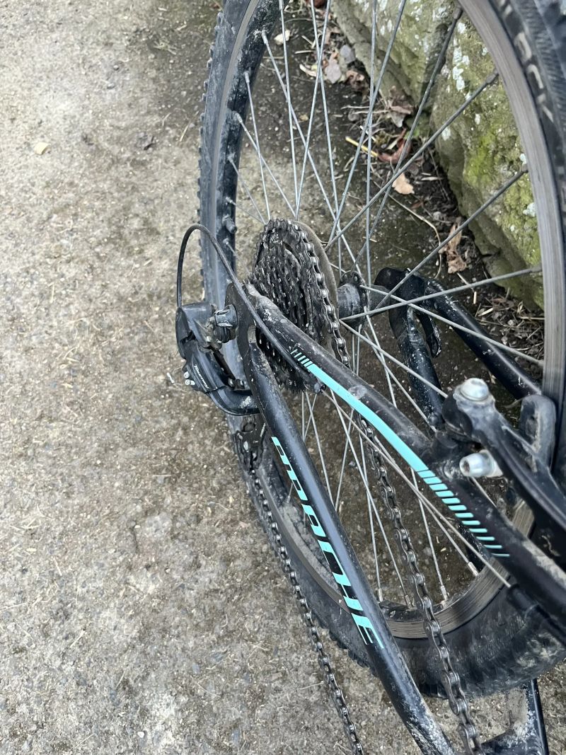 Apache Buffalo 24”