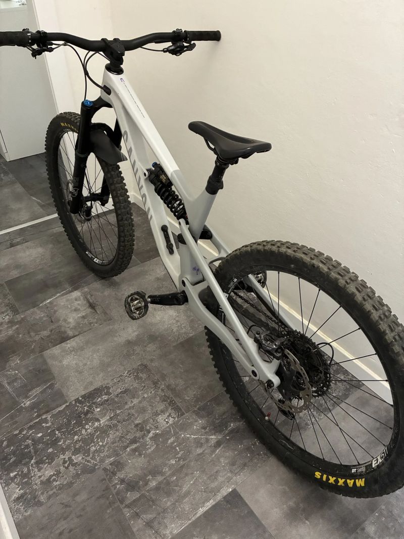 Canyon Spectral CF 8 mullet