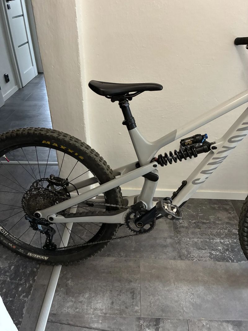 Canyon Spectral CF 8 mullet