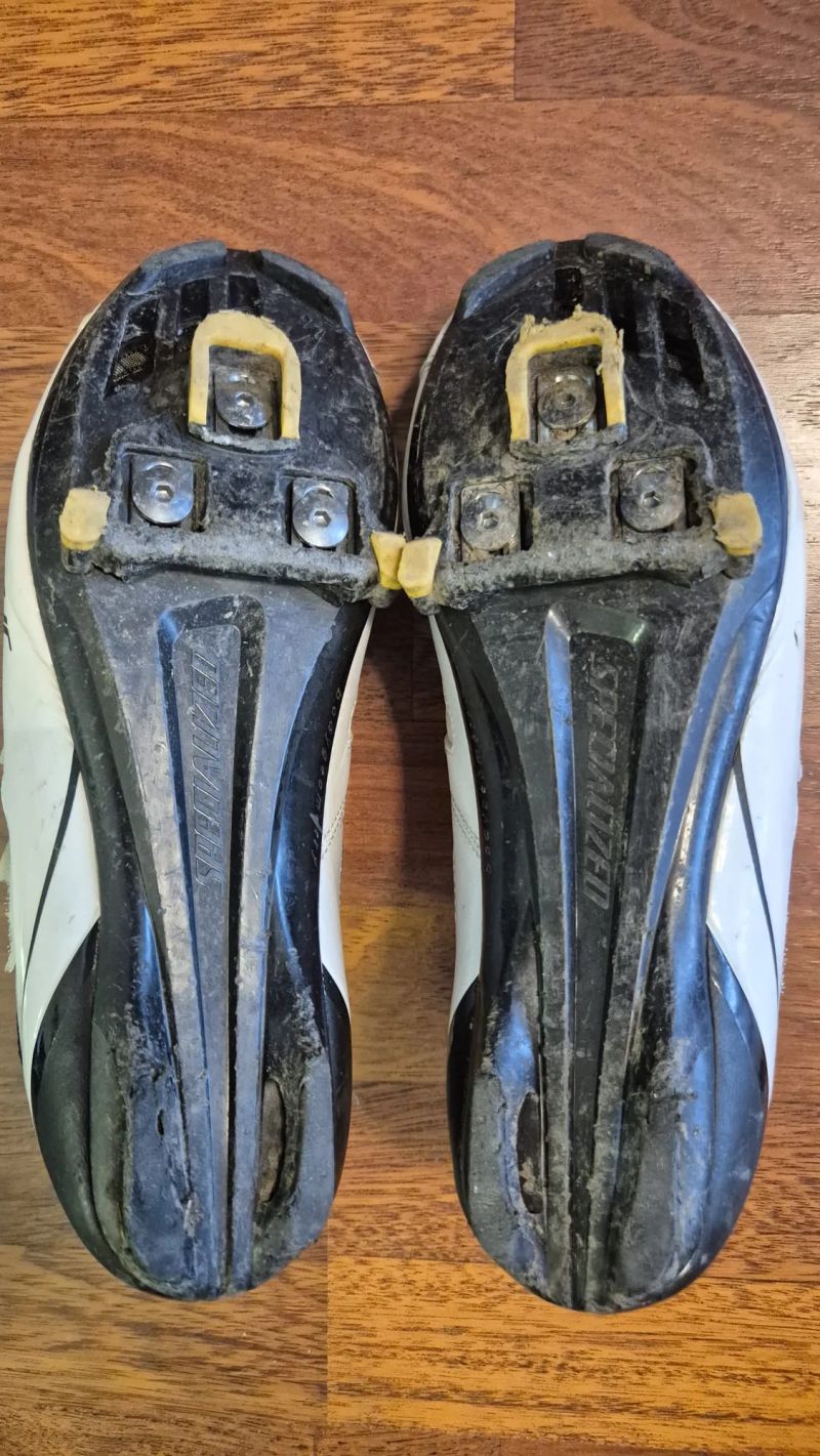 Specialized Roubaix SL4