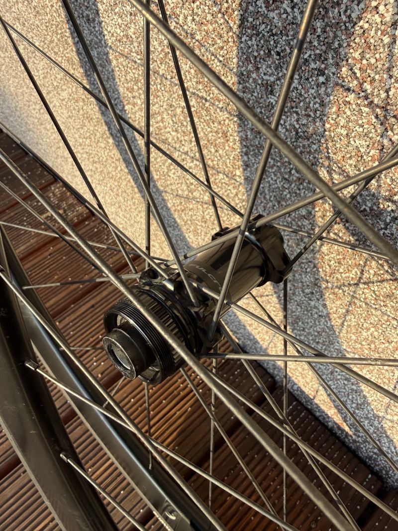 karbonová kola Fulcrum Airbeat 400 | kazeta Campagnolo 12v | ořech N3W | Vittoria Corsa N.EXT 28c