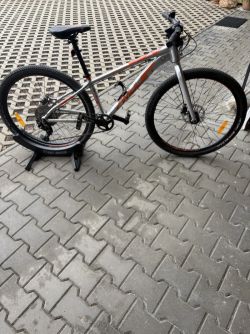 Amulet Youngster 1.10