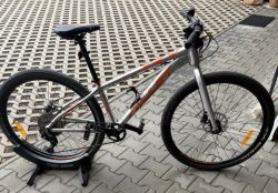 Amulet Youngster 1.10