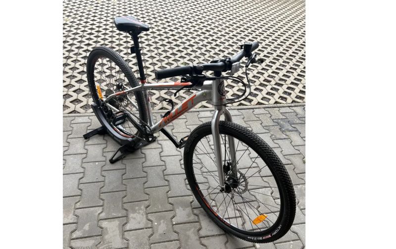 Amulet Youngster 1.10