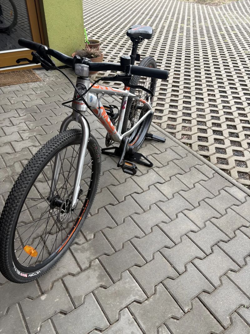 Amulet Youngster 1.10