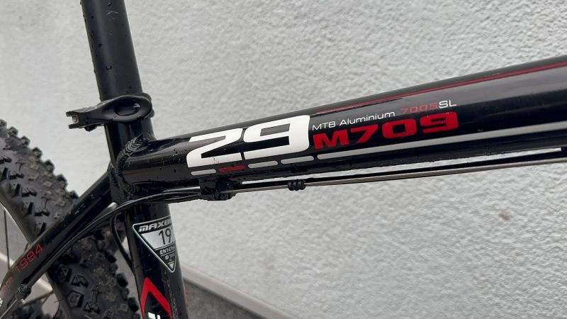 Horské kolo Maxbike 29” , L (19)