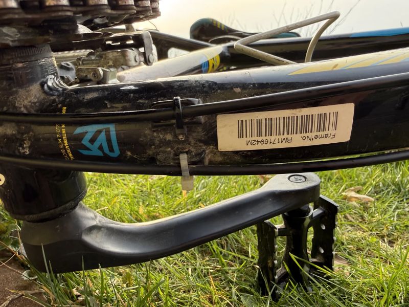 Rock Machine Surge 24