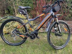 21 Lectron Esconder Max