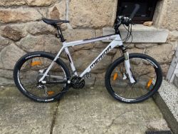 Merida Juliet Marathon 800 D