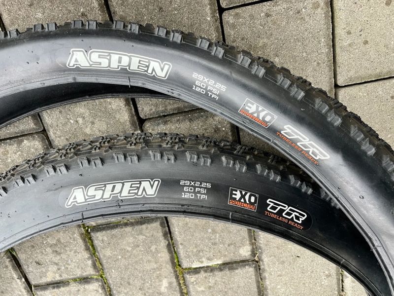 Maxxis ASPEN 29 x 2.25 120TPI EXO TR