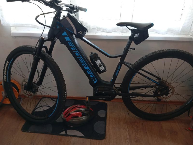 Leader Fox Awalon 29