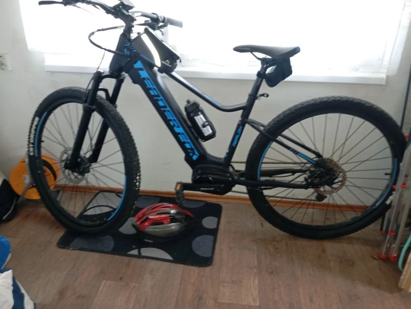 Leader Fox Awalon 29