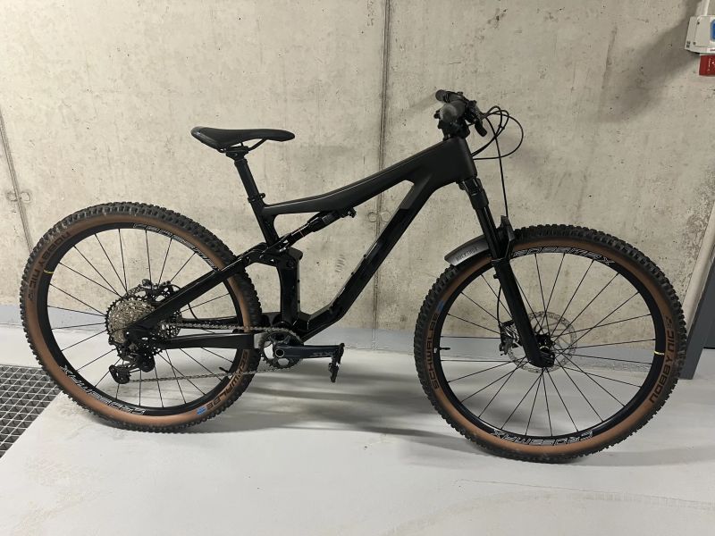 Prodám Bulls Wild Ronin RS