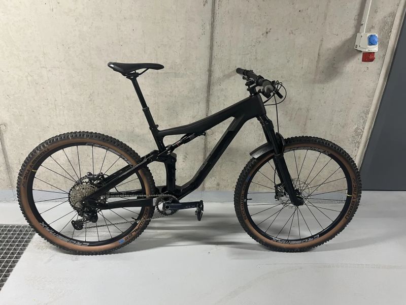 Prodám Bulls Wild Ronin RS