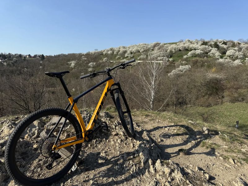 Trek Procaliber 9.6 AXS