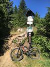 Specialized Epic Comp "L" - REZERVACE