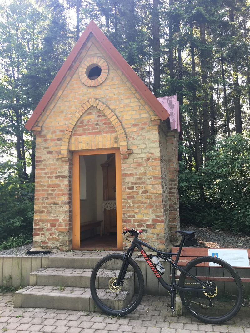 Specialized Epic Comp "L" - REZERVACE