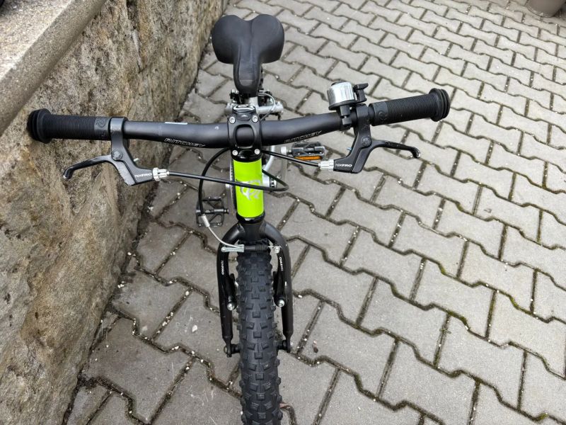 Early Rider Belter 16 trail