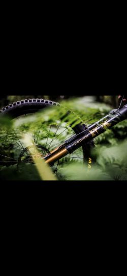 Fox Podium 170mm - GripX2