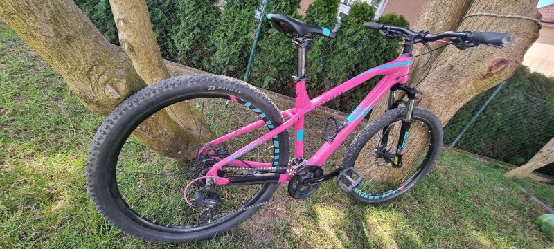 Raymon HardRay Seven 1.0