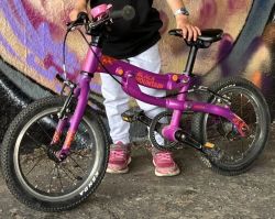 Black Mountain - Pinto