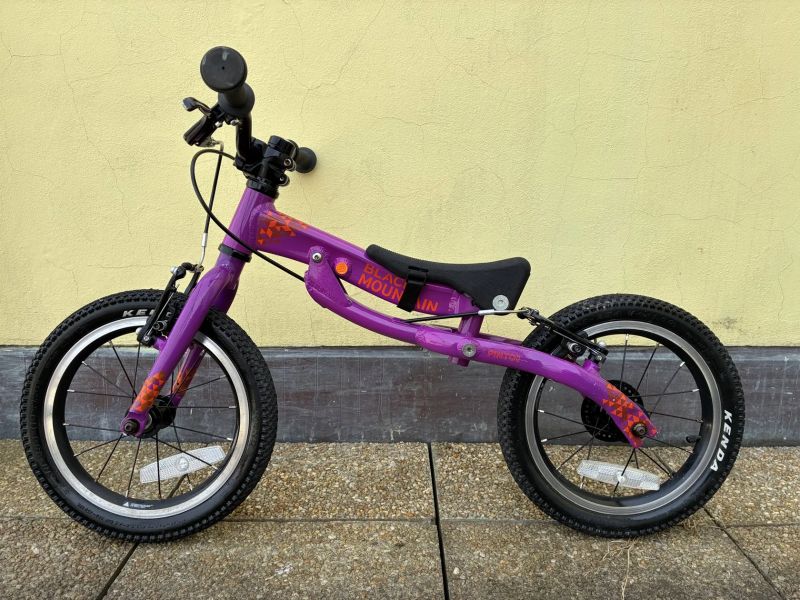 Black Mountain - Pinto