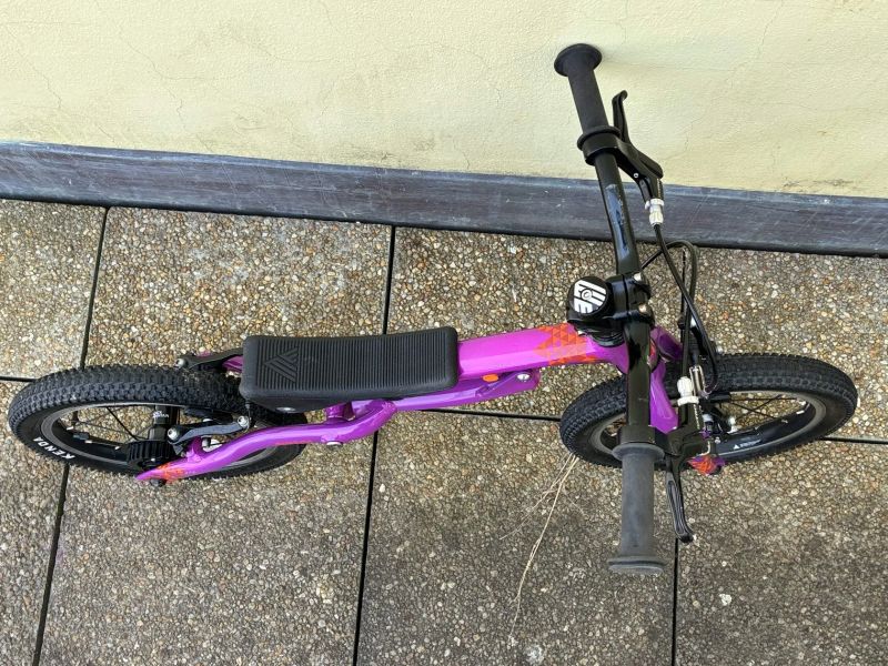 Black Mountain - Pinto