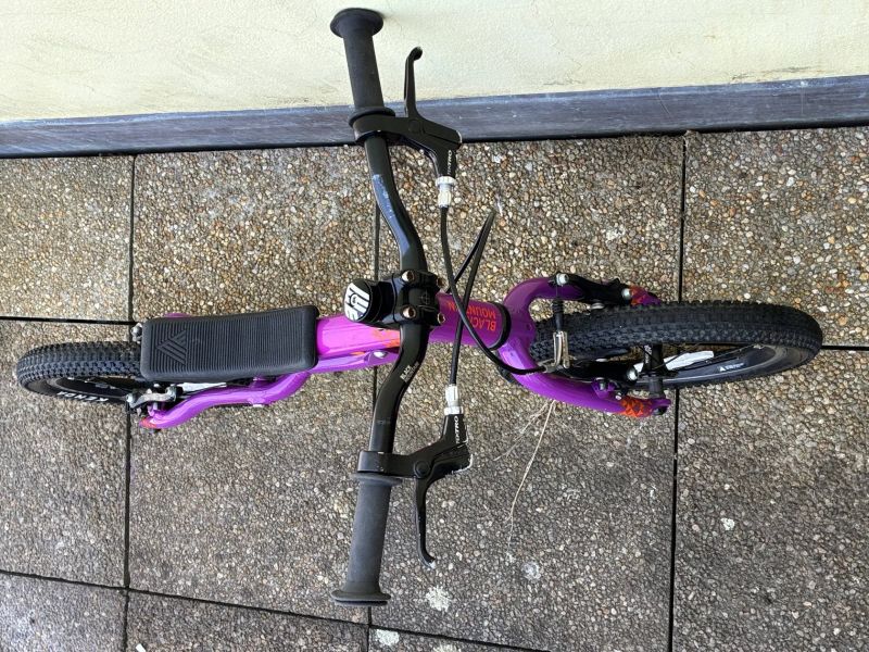 Black Mountain - Pinto