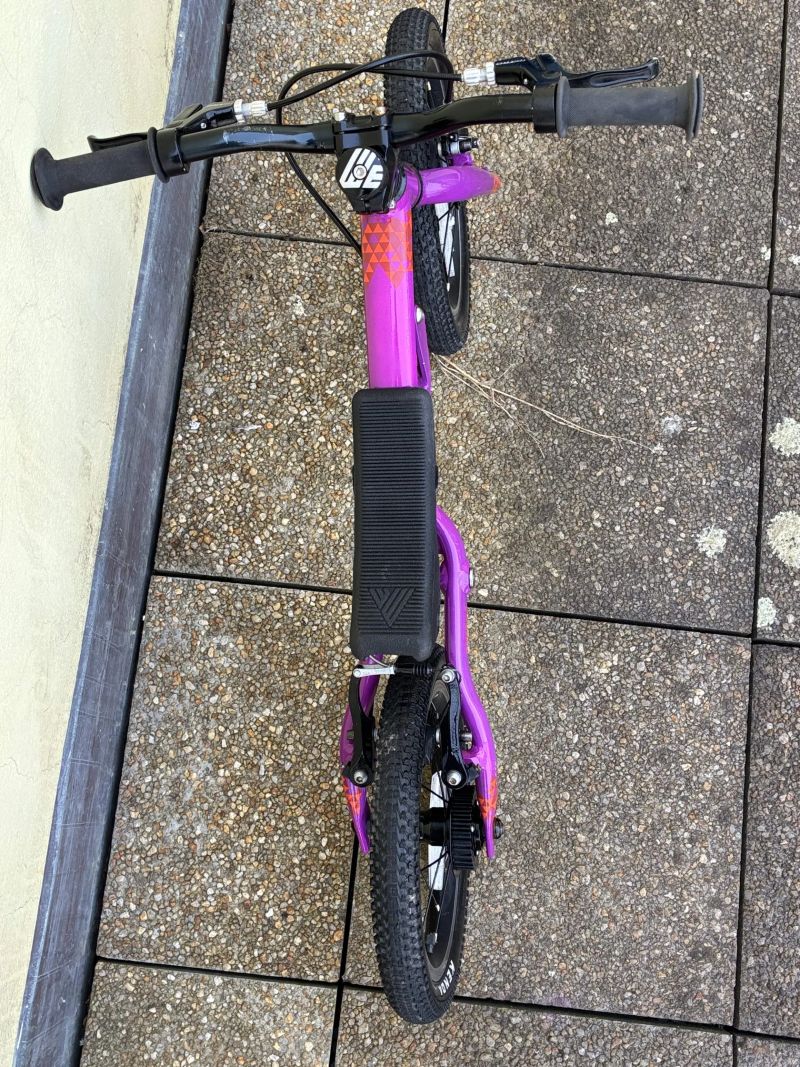 Black Mountain - Pinto