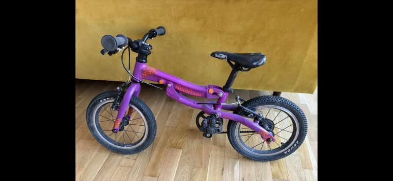 Black Mountain - Pinto