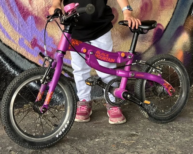 Black Mountain - Pinto