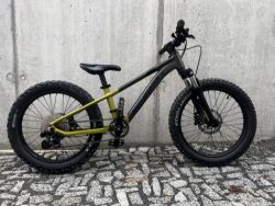 Rocky Mountain 20”