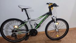 Rock Machine Surge 24