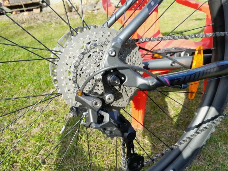 Author Traction 29 ASL