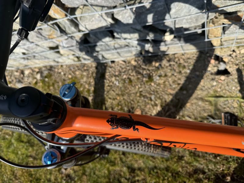 Prodám super lehké dětské kolo Roko Bike Trail 