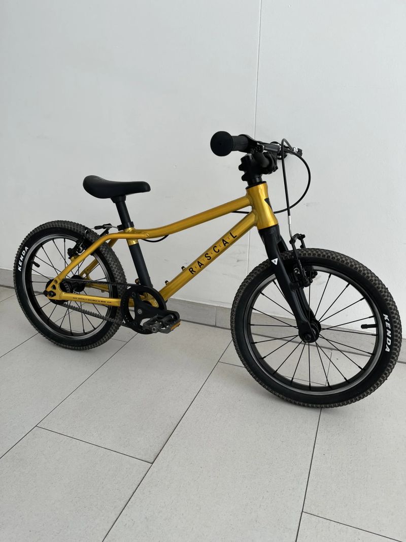 Rascal 16 Gold