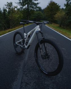 Specialized Stumpjumper Evo