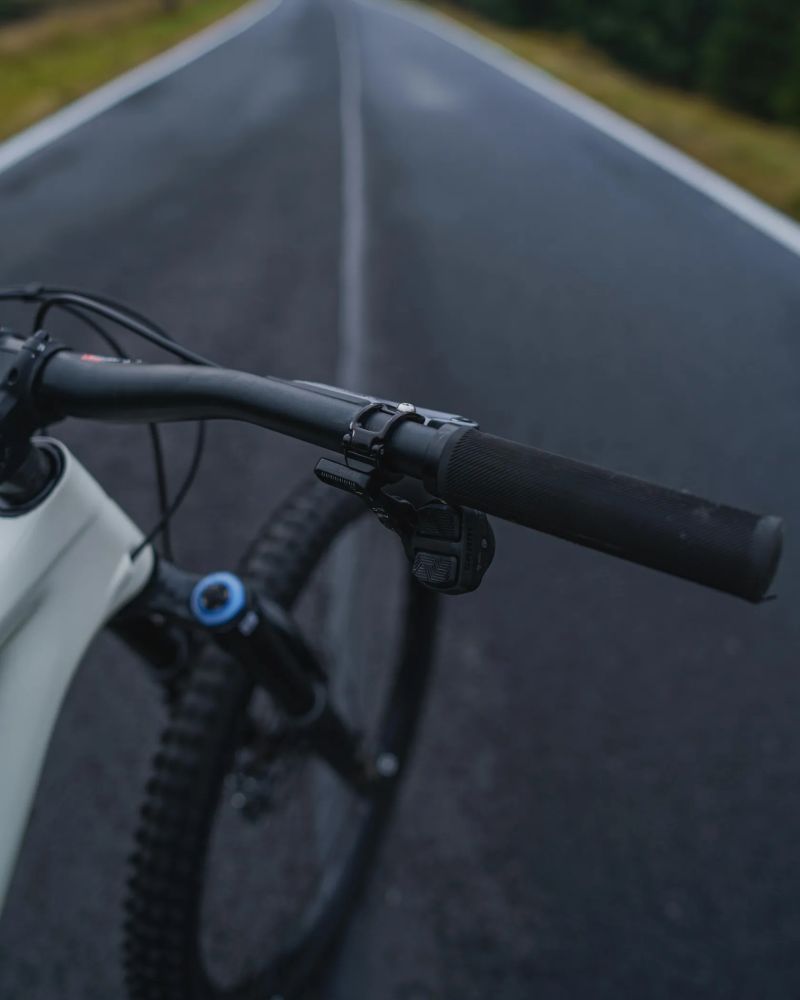 Specialized Stumpjumper Evo