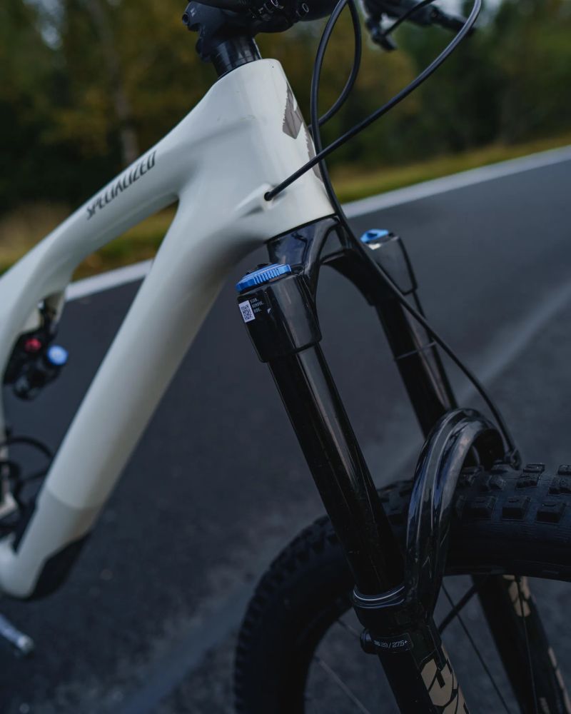 Specialized Stumpjumper Evo