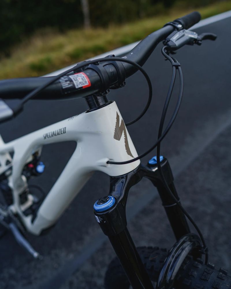 Specialized Stumpjumper Evo