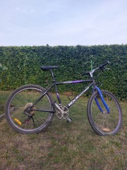 Rock Machine Storm horské kolo