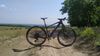 Polygon Cozmic Fox Transfer Cashima + DT Swiss + XTR + 1×12 Eagle 